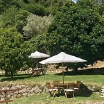 Quinta Dos Carvalhos The Wine House Farm In Center Of - Capital Of The Douro Lamego