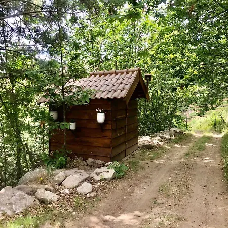 Quinta Dos Carvalhos The Wine House Farm In Center Of - Capital Of The Douro