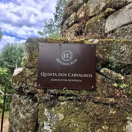 Quinta Dos Carvalhos The Wine House Farm In Center Of - Capital Of The Douro Alojamento de Turismo Rural Lamego