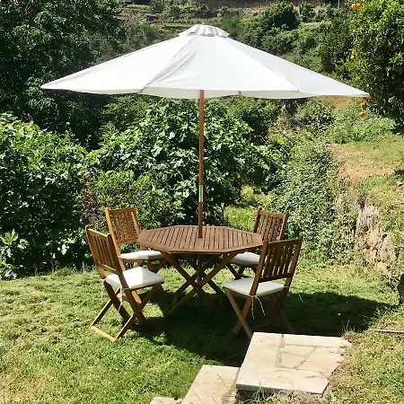 Alojamento de Turismo Rural Quinta Dos Carvalhos The Wine House Farm In Center Of - Capital Of The Douro Lamego