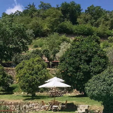 Alojamento de Turismo Rural Quinta Dos Carvalhos The Wine House Farm In Center Of - Capital Of The Douro Lamego