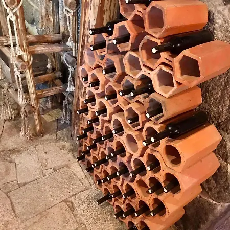 Quinta Dos Carvalhos The Wine House Farm In Center Of - Capital Of The Douro 拉梅戈