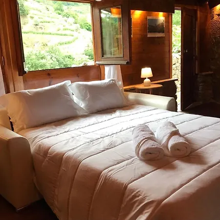 Alojamento de Turismo Rural Quinta Dos Carvalhos The Wine House Farm In Center Of - Capital Of The Douro Lamego