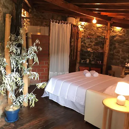 Quinta Dos Carvalhos The Wine House Farm In Center Of - Capital Of The Douro Alojamento de Turismo Rural