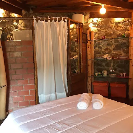 Alojamento de Turismo Rural Quinta Dos Carvalhos The Wine House Farm In Center Of - Capital Of The Douro