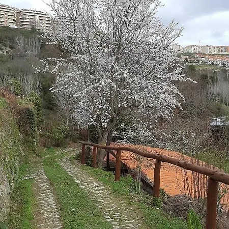 Quinta Dos Carvalhos The Wine House Farm In Center Of - Capital Of The Douro Alojamento de Turismo Rural *