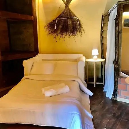 Alojamento de Turismo Rural Quinta Dos Carvalhos The Wine House Farm In Center Of - Capital Of The Douro
