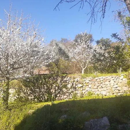 Quinta Dos Carvalhos The Wine House Farm In Center Of - Capital Of The Douro * Lamego