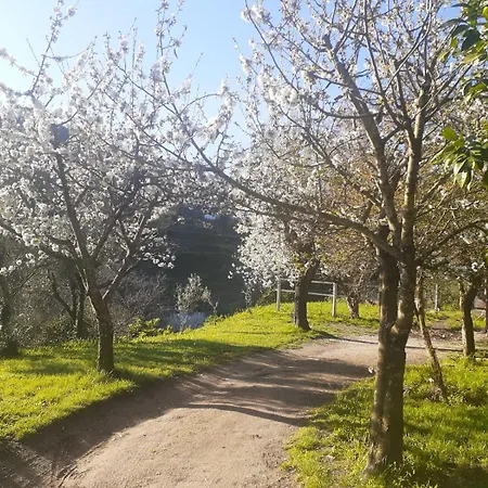 Quinta Dos Carvalhos The Wine House Farm In Center Of - Capital Of The Douro Alojamento de Turismo Rural