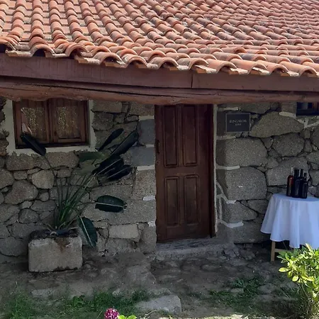 Quinta Dos Carvalhos The Wine House Farm In Center Of - Capital Of The Douro Farm stay Lamego