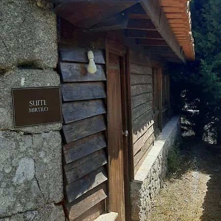 Quinta Dos Carvalhos The Wine House Farm In Center Of - Capital Of The Douro *