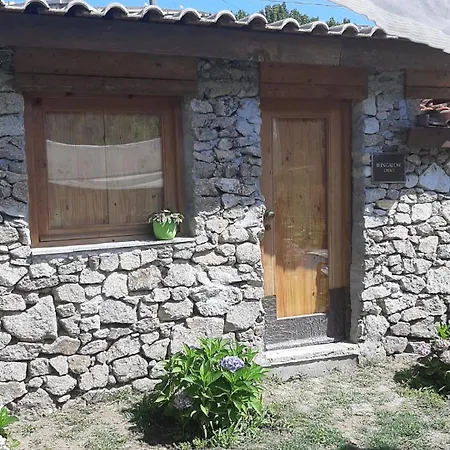 Quinta Dos Carvalhos The Wine House Farm In Center Of - Capital Of The Douro Farm stay