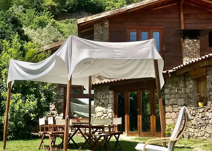 Quinta Dos Carvalhos The Wine House Farm In Center Of - Capital Of The Douro