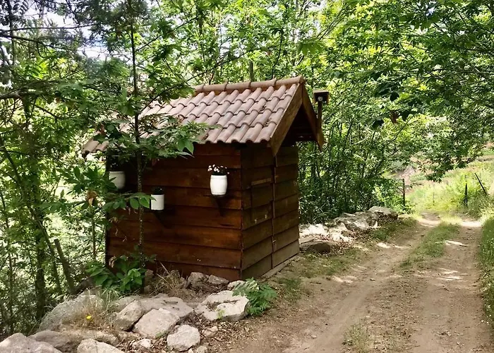 Quinta Dos Carvalhos The Wine House Farm In Center Of - Capital Of The Douro