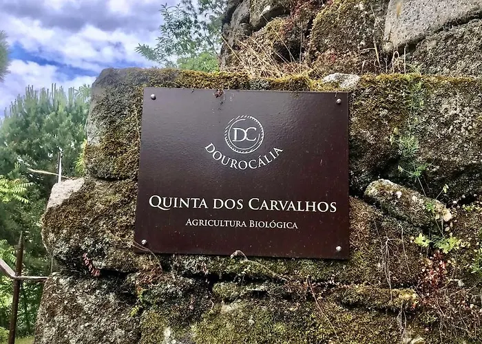 Quinta Dos Carvalhos The Wine House Farm In Center Of - Capital Of The Douro Çiftlik konaklama Lamego