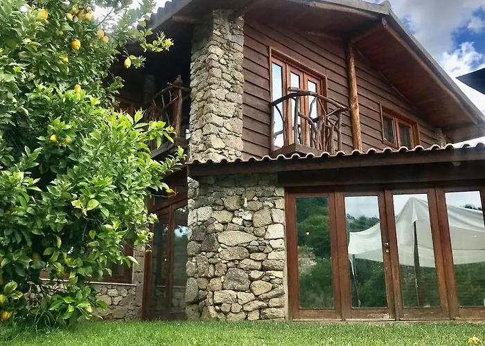 팜스테이 Quinta Dos Carvalhos The Wine House Farm In Center Of - Capital Of The Douro 라메구