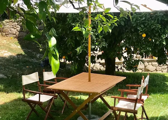 Quinta Dos Carvalhos The Wine House Farm In Center Of - Capital Of The Douro *