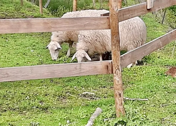 팜스테이 Quinta Dos Carvalhos The Wine House Farm In Center Of - Capital Of The Douro *