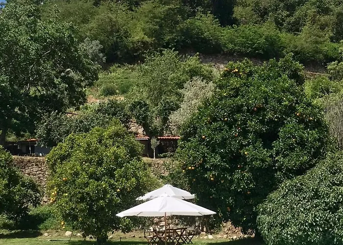 Farmház Quinta Dos Carvalhos The Wine House Farm In Center Of - Capital Of The Douro Lamego