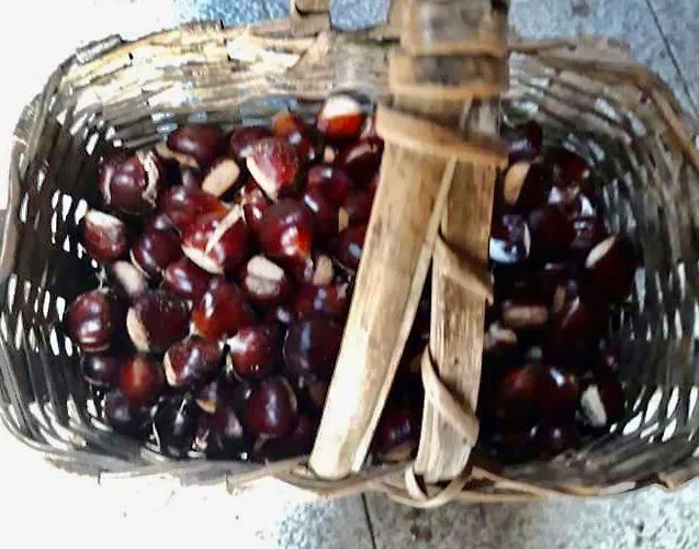 Quinta Dos Carvalhos The Wine House Farm In Center Of - Capital Of The Douro Lamego