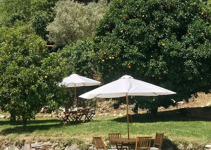 Quinta Dos Carvalhos The Wine House Farm In Center Of - Capital Of The Douro 라메구