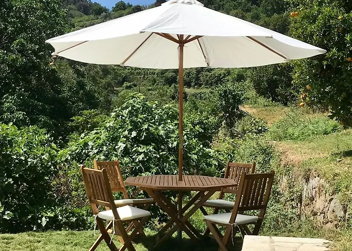 Quinta Dos Carvalhos The Wine House Farm In Center Of - Capital Of The Douro Lamego