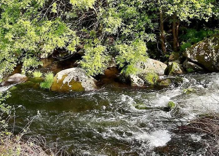 팜스테이 Quinta Dos Carvalhos The Wine House Farm In Center Of - Capital Of The Douro *