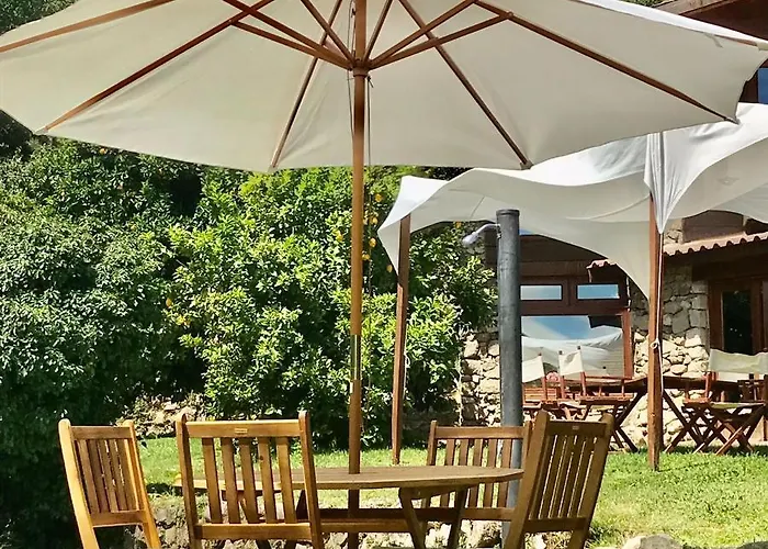 Bauernhof Quinta Dos Carvalhos The Wine House Farm In Center Of - Capital Of The Douro *