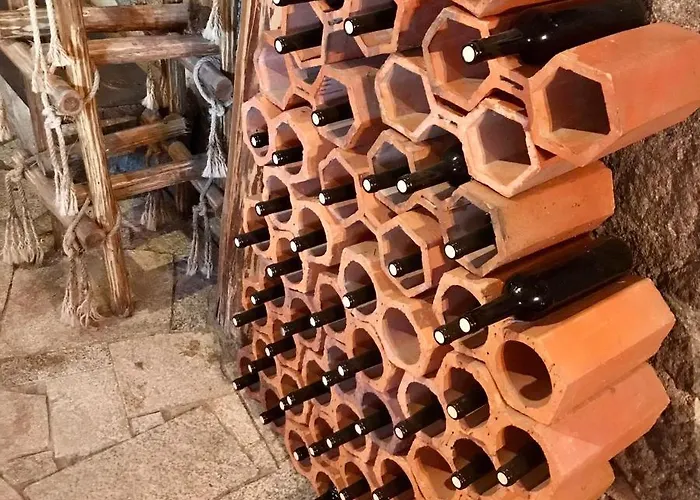 Quinta Dos Carvalhos The Wine House Farm In Center Of - Capital Of The Douro Lamego