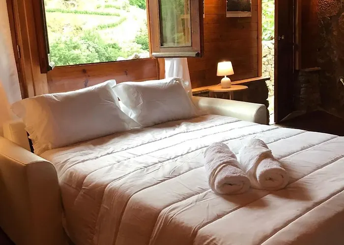 팜스테이 Quinta Dos Carvalhos The Wine House Farm In Center Of - Capital Of The Douro 라메구