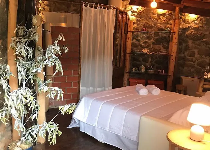 Quinta Dos Carvalhos The Wine House Farm In Center Of - Capital Of The Douro Bauernhof