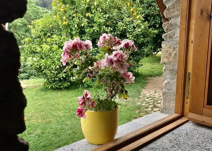 팜스테이 Quinta Dos Carvalhos The Wine House Farm In Center Of - Capital Of The Douro