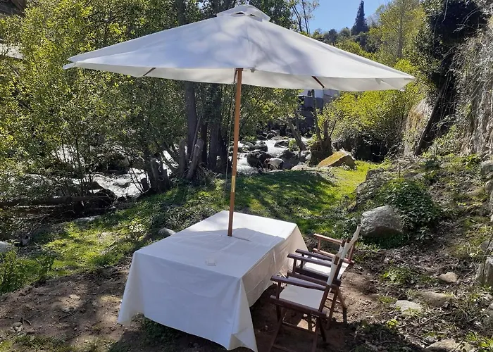 Quinta Dos Carvalhos The Wine House Farm In Center Of - Capital Of The Douro Çiftlik konaklama *