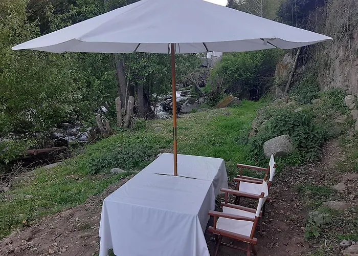 팜스테이 Quinta Dos Carvalhos The Wine House Farm In Center Of - Capital Of The Douro