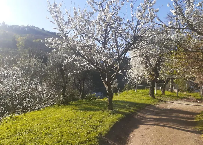 Bauernhof Quinta Dos Carvalhos The Wine House Farm In Center Of - Capital Of The Douro Lamego