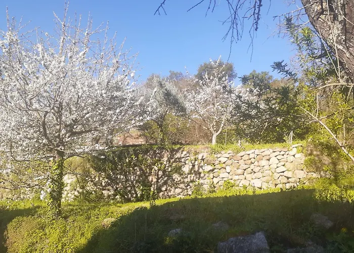 Quinta Dos Carvalhos The Wine House Farm In Center Of - Capital Of The Douro * 라메구