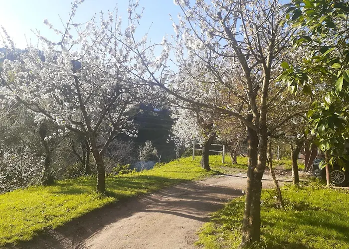 Quinta Dos Carvalhos The Wine House Farm In Center Of - Capital Of The Douro 팜스테이